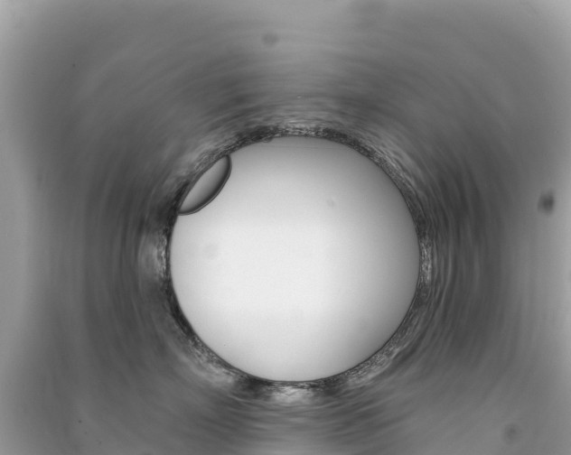 X0000091310718200708101109