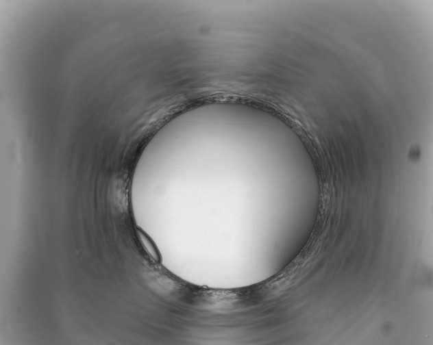 X0000091310719200708101109