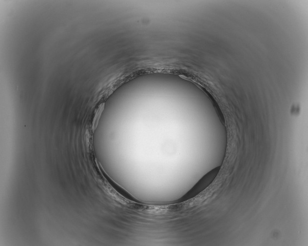 X0000091310720200708101109