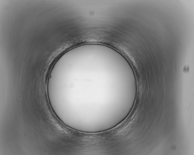 X0000091310721200708101108