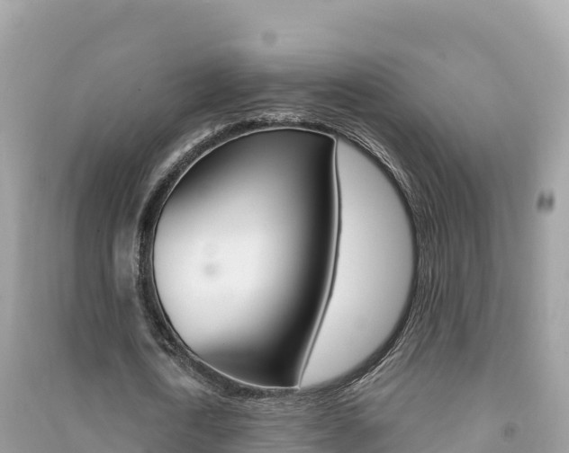 X0000091310722200708101108