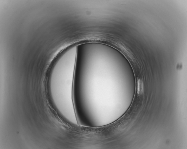 X0000091310723200708101108