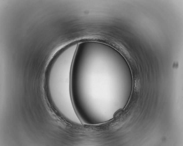 X0000091310724200708101108
