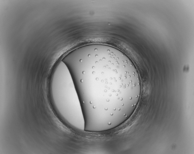 X0000091310725200708101108