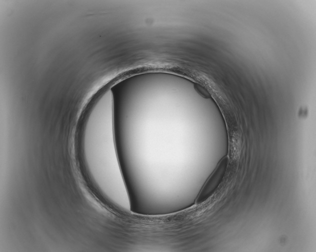 X0000091310726200708101108
