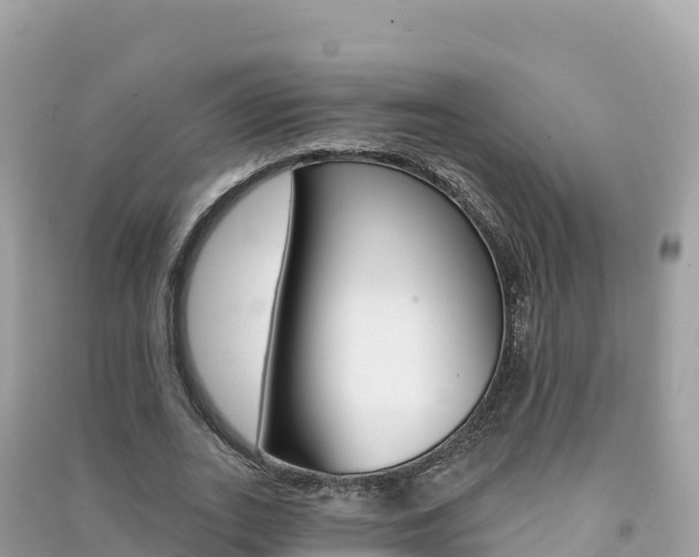 X0000091310727200708101108