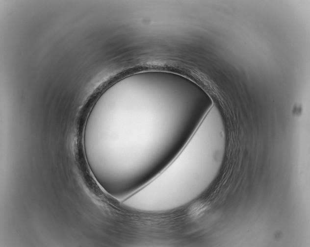 X0000091310728200708101108