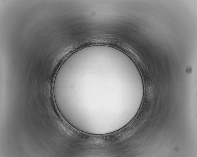 X0000091310729200708101108
