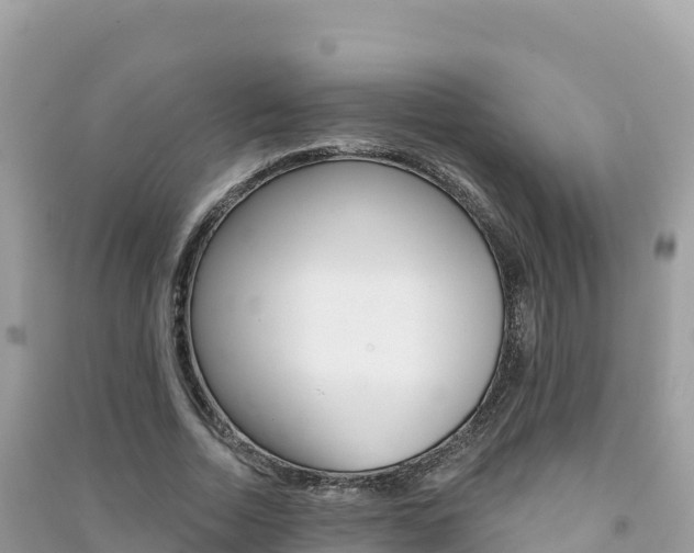 X0000091310730200708101108