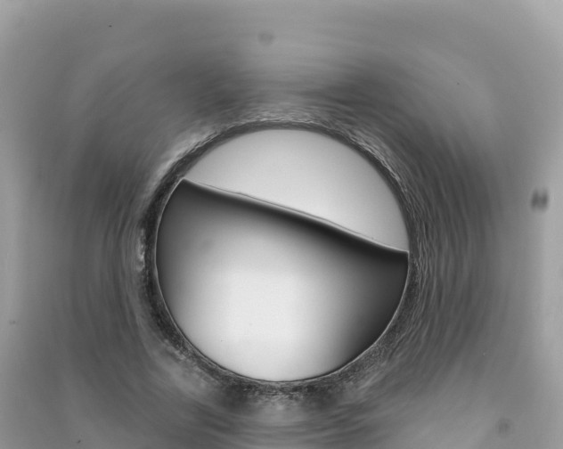 X0000091310731200708101108