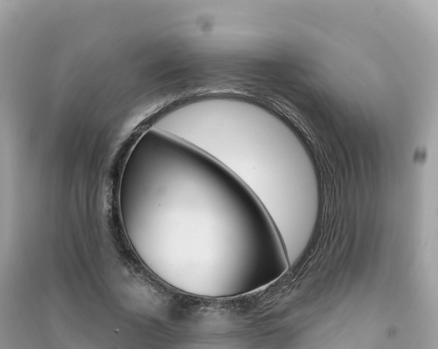 X0000091310732200708101108