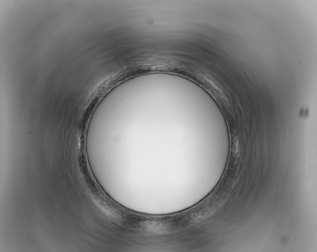 X0000091310733200708101108