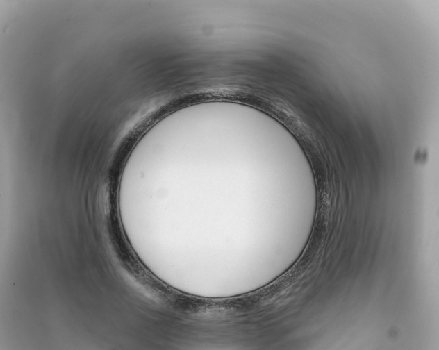 X0000091310734200708101108