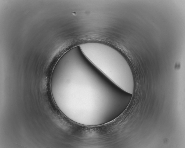 X0000091310735200708101108