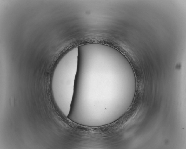 X0000091310737200708101108