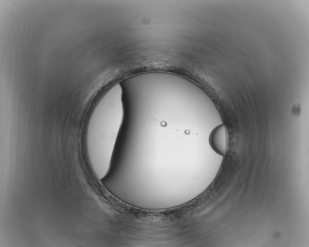 X0000091310738200708101108