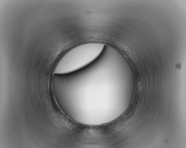 X0000091310739200708101108