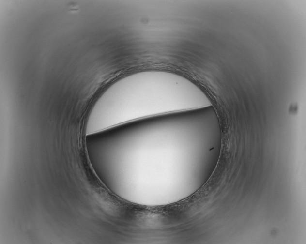 X0000091310743200708101108