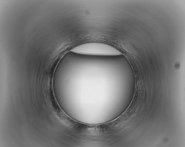 X0000091310744200708101108