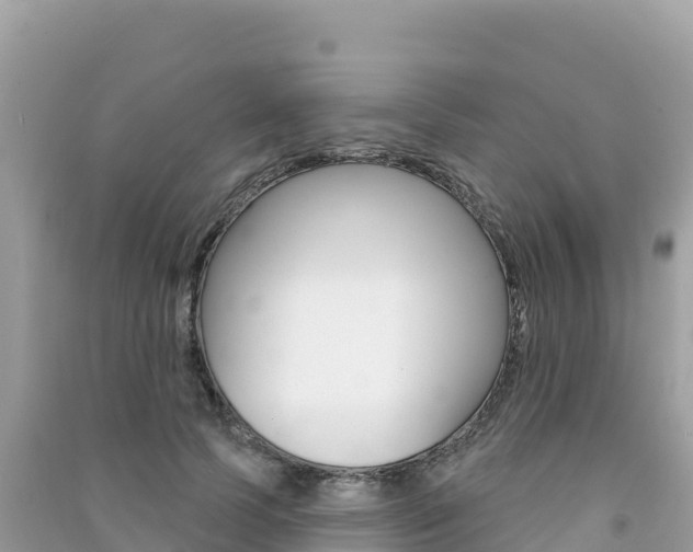 X0000091310745200708101108