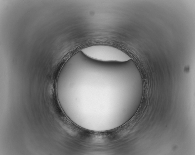 X0000091310746200708101108