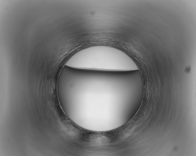 X0000091310747200708101108