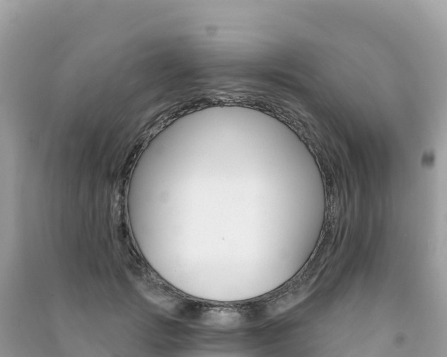 X0000091310749200708101108