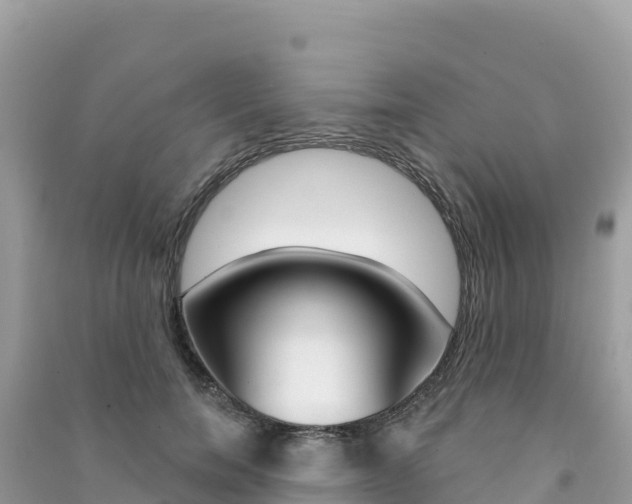X0000091310750200708101108