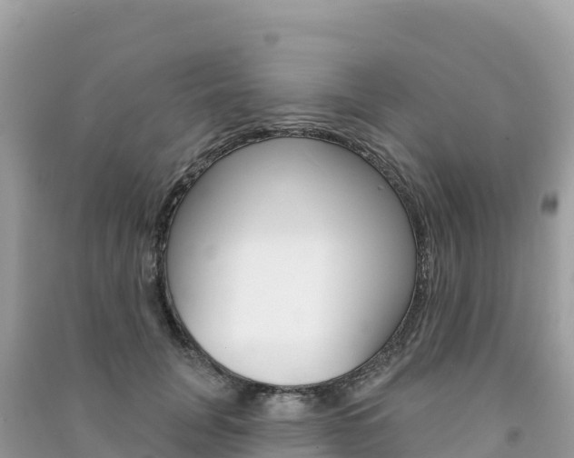 X0000091310751200708101108