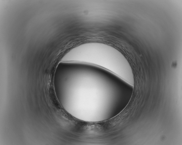 X0000091310752200708101108