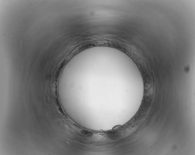 X0000091310753200708101108