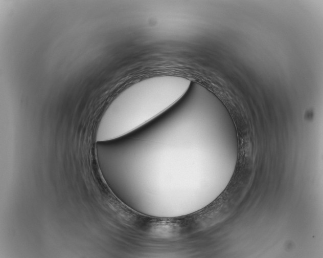 X0000091310754200708101108