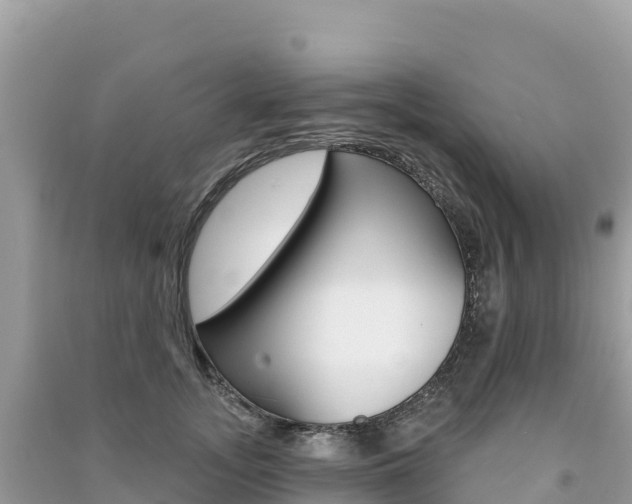 X0000091310755200708101108