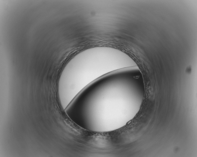 X0000091310756200708101108