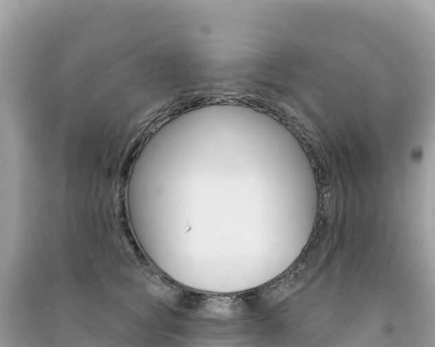 X0000091310757200708101108