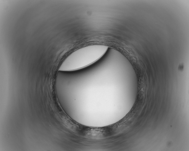 X0000091310758200708101108