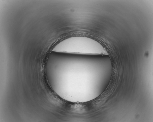 X0000091310759200708101108