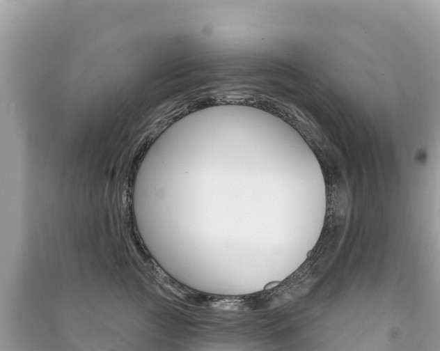 X0000091310761200708101108