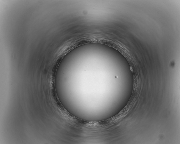 X0000091310762200708101108