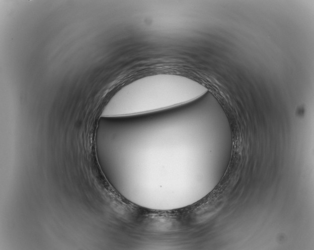 X0000091310763200708101108