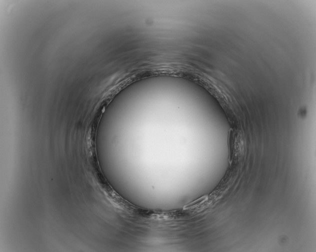 X0000091310764200708101108
