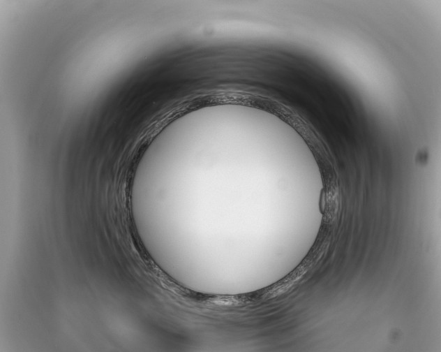 X0000091310765200708101108
