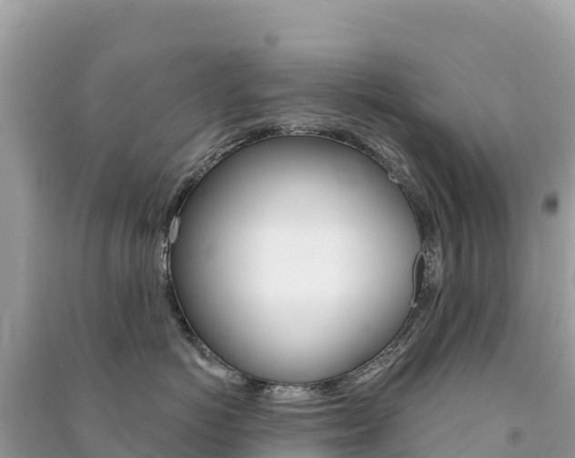 X0000091310766200708101109
