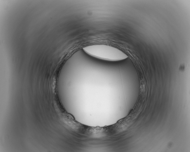 X0000091310767200708101109