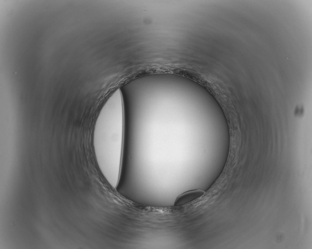 X0000091310768200708101109