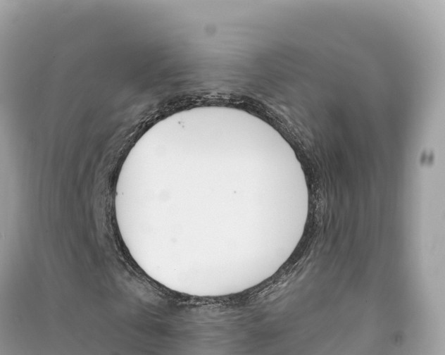 X0000091310769200708101108