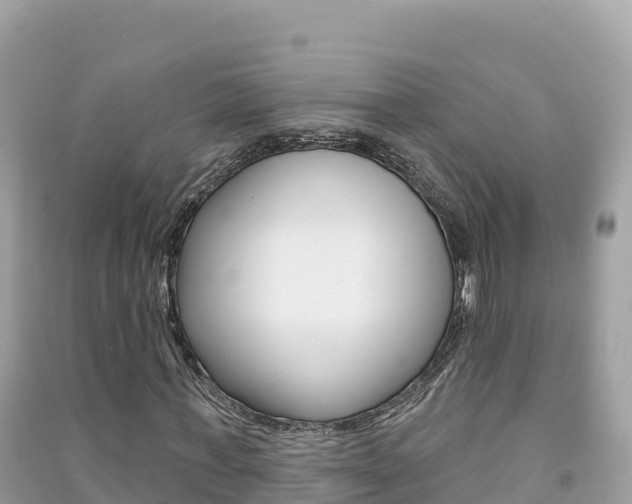 X0000091310771200708101108