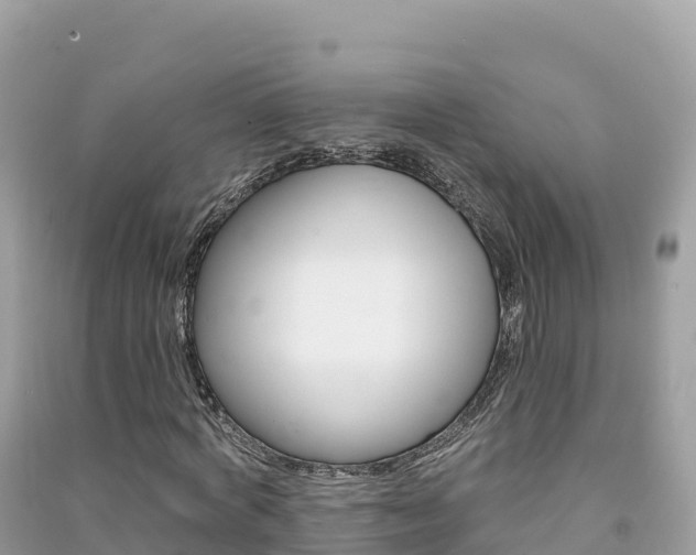 X0000091310772200708101108