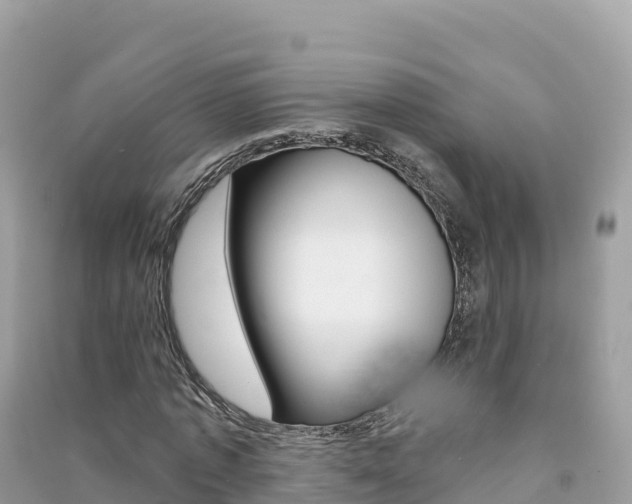X0000091310773200708101108