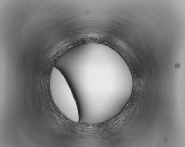 X0000091310774200708101108